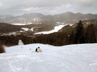 ぬかびら源泉郷スキー場の写真４