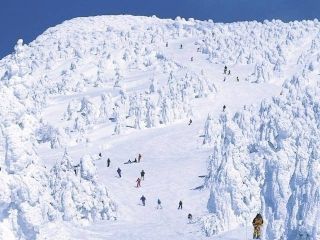 山形蔵王温泉スキー場写真１