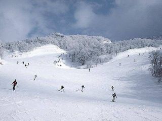 山形蔵王温泉スキー場の写真３