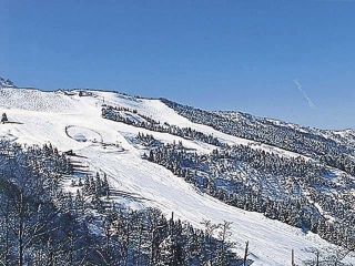 立山山麓スキー場の写真３