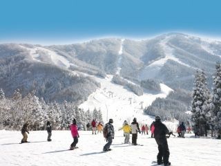 スキージャム勝山の写真３