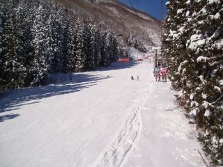 白馬乗鞍温泉スキー場の写真３