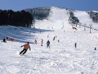 Mt.KOSHA よませ温泉スキー場写真１