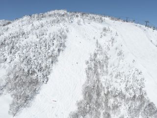 志賀高原 焼額山スキー場の写真３