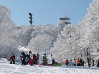 野沢温泉スキー場の写真４