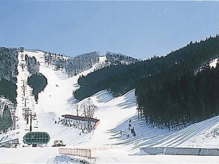 鷲ケ岳スキー場（TAKASU MOUNTAINS）の写真３