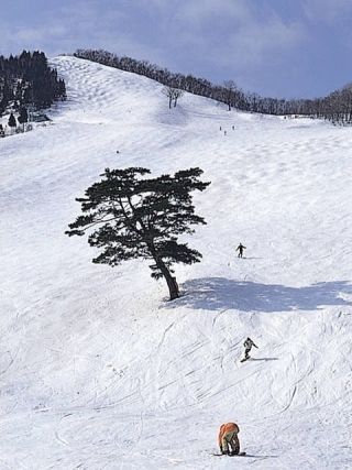 奥神鍋スキー場写真１