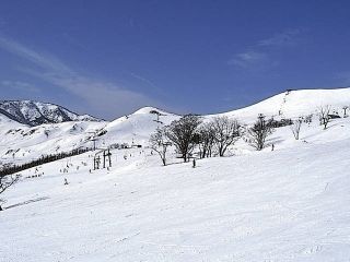 ハチ高原スキー場の写真３