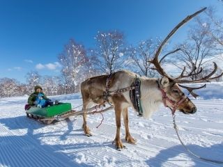 ニセコビレッジスキーリゾートの写真４