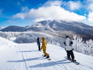 星野リゾート ネコマ マウンテン写真２