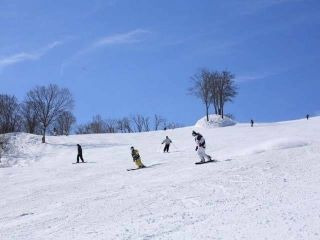 白山千丈温泉セイモアスキー場の写真３