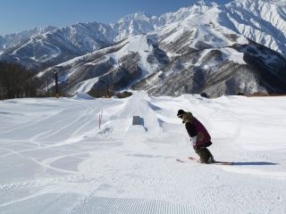 白馬岩岳スノーフィールドの写真３