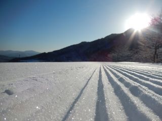 氷ノ山国際スキー場の写真３