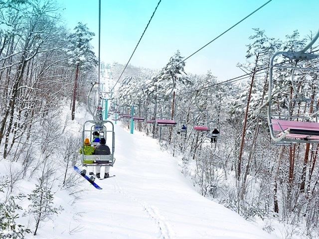 やわたハイランド191リゾート スキー場情報 21