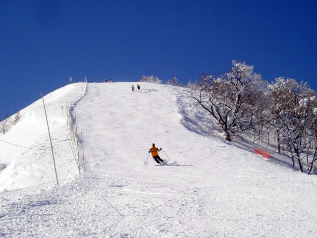 Hakuba Valley 白馬コルチナスキー場 スキー場情報21 22