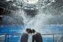 Dolphin Splash Fesの写真