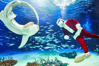 サンシャイン水族館のChristmas Party!