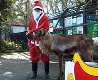 羽村市動物公園で思い出作り！クリスマス記念撮影～トナカイと写真を写そう～