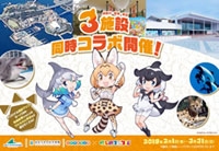 人気プロジェクト「けものフレンズ」が「横浜・八景島シーパラダイス」「仙台うみの杜水族館」「羽村市動物公園」と同時コラボ