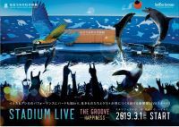 2019年春に東北最大級の動物たちのパフォーマンス誕生!「STADIUM LIVE ~THE GROOVE~」|仙台うみの杜水族館
