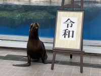 オタリアパフォーマンス平成・令和で記念撮影！などGWイベント満載｜仙台うみの杜水族館