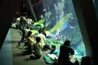 水族館にお泊りできる！？生物観察、親子で魚を調理、夜の水族館を探検！アクアマリンふくしまの夏の体験型プログラム