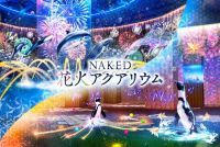 マクセル アクアパーク品川で“最先端”の花火アート「ＮＡＫＥＤ 花火アクアリウム」開催