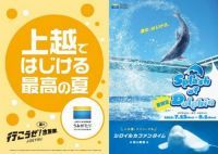 上越市立水族博物館 うみがたりで令和元年、ダイナミックなドルフィンパフォーマンス「Ｓｐｌａｓｈ ｏｆ Ｄｏｌｐｈｉｎ」開催！