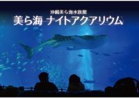 夏休み限定！沖縄美ら海水族館で「美ら海ナイトアクアリウム」開催！