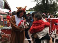 かわいい動物たちと楽しいクリスマスを！クリスマスアニマルパレード|池田動物園