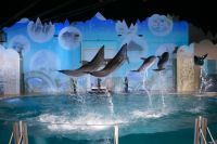 神戸市立須磨海浜水族園 2020年9月の4連休は20時まで延長営業！！