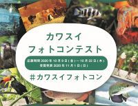 あなたのカワスイの楽しみ方を教えて！「カワスイフォトコンテスト」開催