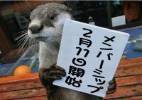 【コロナ禍で楽しむオンライン水族館】伊勢シーパラダイスをより深く楽しめるオンライン配信サービススタート！