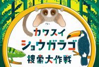 カワスイの生きものの謎に迫る！初の謎解き宝探しイベント「カワスイ ショウガラゴ捜索大作戦」開催