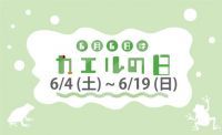 梅雨の時期こそ、カワスイへ！6月6日の「カエルの日」記念イベント開催