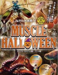 スポーツの秋！水族館の筋肉自慢たちがハロウィンを盛り上げる！「マッスルハロウィン」開催