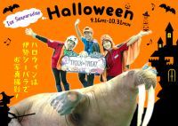 秋の伊勢シーパラダイス「ハロウィン」イベント！ハロウィンの装飾、顔出し看板、手持ち看板など