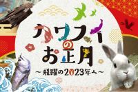 お正月はカワスイで過ごそう♪「カワスイのお正月〜飛躍の2023年へ〜」「神奈川県民20歳無料キャンペーン」も実施