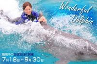 【鴨川シーワールド】イルカと泳げる夏だけの貴重な体験！大人も参加が可能！1日10名限定「ワンダフルドルフィン」開催