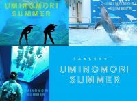 涼しく“夏”を満喫できるうみの杜の夏期イベント『うみの杜サマー2023』開催|仙台うみの杜水族館
