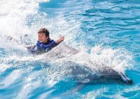 小学校5・6年生限定『秋のジュニアトレーナー』開催!!イルカと泳ぐトレーナー体験プログラム|鴨川シーワールド