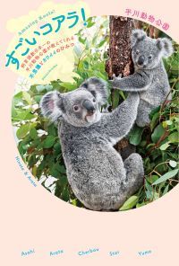 コアラ来日40年！『すごいコアラ！　飼育頭数日本一の平川動物公園が教えてくれる不思議とカワイイのひみつ』発売決定！