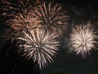 この夏は東武動物公園で決まり！暑さを吹き飛ばすウォーターイベントやナイトZOO開催