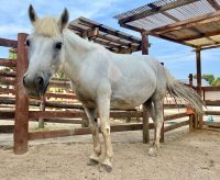 新年のお祝い!!東武動物公園 新春イベント開催