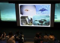 鴨川シーワールドにて『飼育の日』・『国際博物館の日』特別レクチャー開催