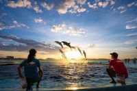 特別なひとときをお過ごし下さい　四国水族館で夜の水族館『Nightscapeこがねいろ2026 G.W.』 を開催
