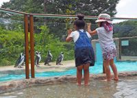 【智光山公園】夏限定！ひんやりおやつタイムや夜の動物園　2026年の夏休みは智光山公園こども動物園で遊ぼう！