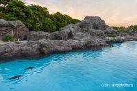 【葛西臨海水族園】20時まで開園時間延長の期間限定イベント「水族園で夕涼み」を開催します!