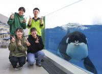 【鴨川シーワールド】初開催！閉館後にシャチやベルーガとの特別体験ができる「鴨シープレミアムプラン」＆「鴨シープレミアム宿泊プラン」を11月に9日間限定で実施