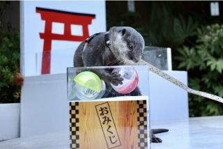 シーズナルイベント③